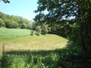 <img300*0:stuff/z/186646/CS%2527%2520Landmarks/DSC00827.JPG>