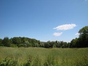 <img300*0:stuff/z/186646/CS%2527%2520Landmarks/DSC00845.JPG>