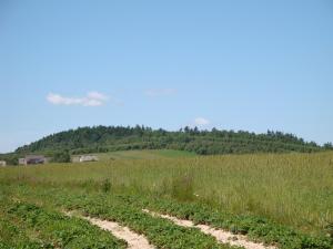 <img300*0:stuff/z/186646/CS%2527%2520Landmarks/DSC00848.JPG>