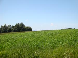 <img300*0:stuff/z/186646/CS%2527%2520Landmarks/DSC00850.JPG>