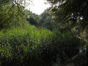 <img300*0:stuff/z/186646/CS%2527%2520Landmarks/DSC00908.JPG>