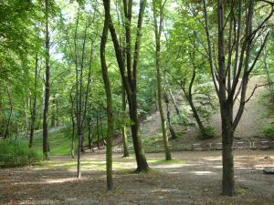 <img300*0:stuff/z/186646/CS%2527%2520Landmarks/DSC00911.JPG>