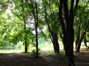 <img300*0:stuff/z/186646/CS%2527%2520Landmarks/DSC00912.JPG>