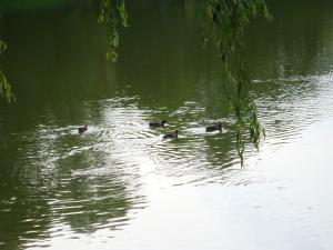 <img300*0:stuff/z/186646/CS%2527%2520Landmarks/DSC00914.JPG>