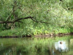 <img300*0:stuff/z/186646/CS%2527%2520Landmarks/DSC00915.JPG>