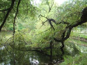 <img300*0:stuff/z/186646/CS%2527%2520Landmarks/DSC00916.JPG>