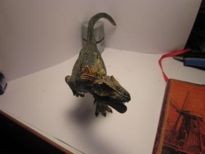 <img0*300:stuff/z/187594/Allosaurus%2520Figurine%2520Reference/034.JPG>
