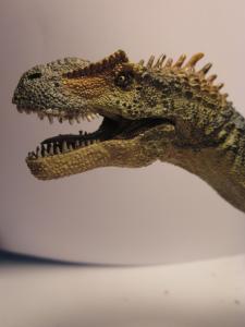 <img0*300:stuff/z/187594/Allosaurus%2520Figurine%2520Reference/038.JPG>