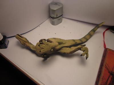 <img0*300:stuff/z/187594/Allosaurus%2520Figurine%2520Reference/039.JPG>