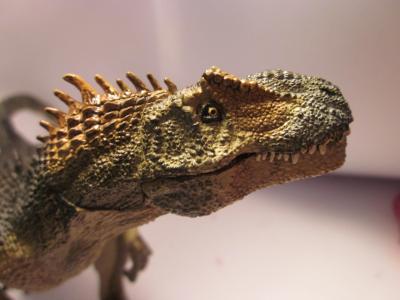 <img0*300:stuff/z/187594/Allosaurus%2520Figurine%2520Reference/043.JPG>