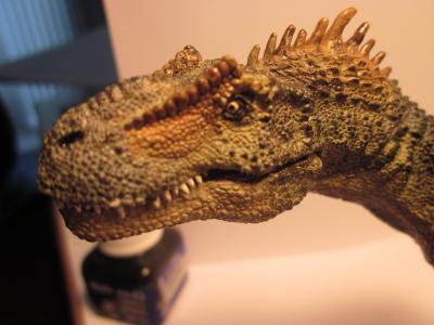 <img0*300:stuff/z/187594/Allosaurus%2520Figurine%2520Reference/045.JPG>