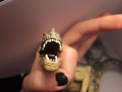 <img0*300:stuff/z/187594/Allosaurus%2520Figurine%2520Reference/046.JPG>
