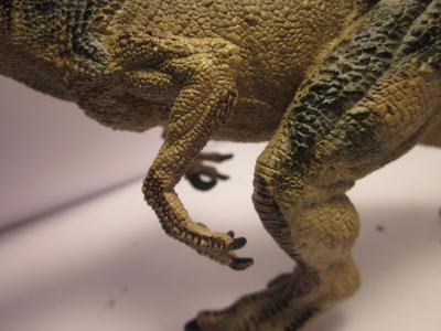 <img0*300:stuff/z/187594/Allosaurus%2520Figurine%2520Reference/047.JPG>