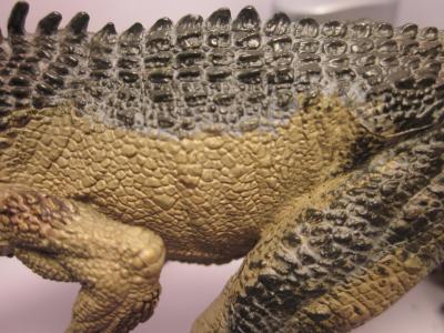 <img0*300:stuff/z/187594/Allosaurus%2520Figurine%2520Reference/049.JPG>
