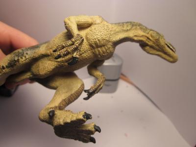 <img0*300:stuff/z/187594/Allosaurus%2520Figurine%2520Reference/051.JPG>