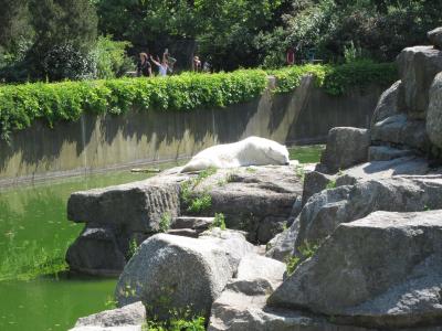 <img0*300:stuff/z/187594/Berlin%2520Zoo%2520Reference/081.JPG>