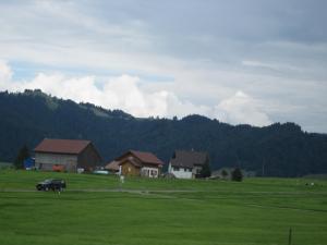 <img300*0:stuff/z/187594/Buildings%2520of%2520Austria%2520and%2520Switzerland/088.JPG>