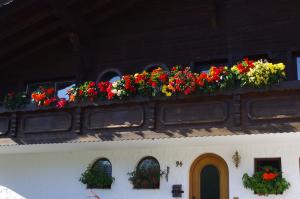 <img300*0:stuff/z/187594/Buildings%2520of%2520Austria%2520and%2520Switzerland/IMGP0649.JPG>