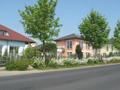 <img0*300:stuff/z/187594/German%2520Building%2520Reference/016.JPG>