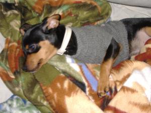 <img300*0:stuff/z/188328/The%2520Black%2527s%2520Family%2520and%2520Pets/i1265356698_11.jpg>