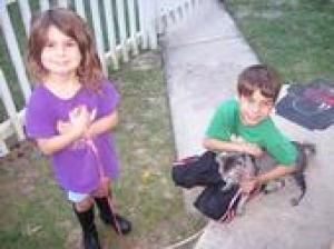 <img300*0:stuff/z/188328/The%2520Black%2527s%2520Family%2520and%2520Pets/i1265356699_17.jpg>