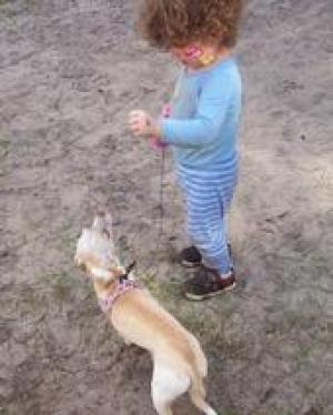 <img300*0:stuff/z/188328/The%2520Black%2527s%2520Family%2520and%2520Pets/i1265356699_31.jpg>