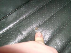 <img300*0:stuff/z/188814/for%2520sale/i1269126207_1.jpg>