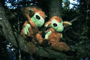 <img300*0:stuff/z/191025/Puca%2520Brownies/i1328404326_2.jpg>