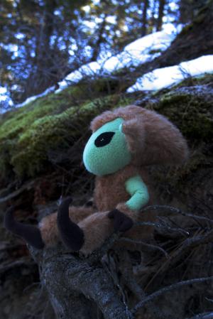 <img300*0:stuff/z/191025/Puca%2520Brownies/i1328404326_6.jpg>