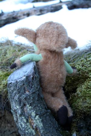 <img300*0:stuff/z/191025/Puca%2520Brownies/i1328404326_9.jpg>