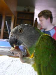 <img0*250:stuff/z/20192/Talim%2527s%2520Awesome%2520Adventure/i1208471891_11.jpg>