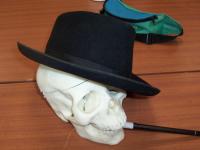 <img200*0:stuff/z/23817/Draco%2527s%2520reference%2520pictures%25201/000_0627.jpg>