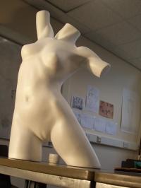 <img200*0:stuff/z/23817/Draco%2527s%2520reference%2520pictures%25201/000_0645.jpg>