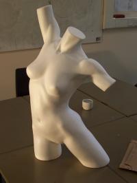 <img200*0:stuff/z/23817/Draco%2527s%2520reference%2520pictures%25201/000_0646.jpg>