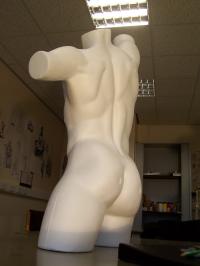 <img200*0:stuff/z/23817/Draco%2527s%2520reference%2520pictures%25201/000_0655.jpg>