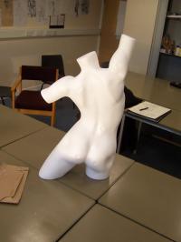 <img200*0:stuff/z/23817/Draco%2527s%2520reference%2520pictures%25201/000_0657.jpg>