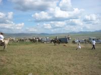 <img200*0:stuff/z/24454/Horses%2520by%2520Nyaah*/L1010160.JPG>