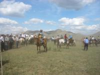 <img200*0:stuff/z/24454/Horses%2520by%2520Nyaah*/L1010162.JPG>