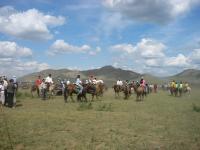 <img200*0:stuff/z/24454/Horses%2520by%2520Nyaah*/L1010163.JPG>