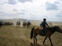 <img200*0:stuff/z/24454/Horses%2520by%2520Nyaah*/L1010165.JPG>