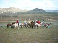 <img200*0:stuff/z/24454/Horses%2520by%2520Nyaah*/L1010167.JPG>