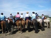 <img200*0:stuff/z/24454/Horses%2520by%2520Nyaah*/L1010184.JPG>