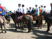 <img200*0:stuff/z/24454/Horses%2520by%2520Nyaah*/L1010185.JPG>