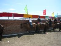 <img200*0:stuff/z/24454/Horses%2520by%2520Nyaah*/L1010188.JPG>