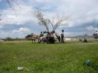 <img200*0:stuff/z/24454/Horses%2520by%2520Nyaah*/L1010190.JPG>