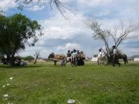 <img200*0:stuff/z/24454/Horses%2520by%2520Nyaah*/L1010191.JPG>