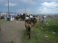 <img200*0:stuff/z/24454/Horses%2520by%2520Nyaah*/L1010192.JPG>