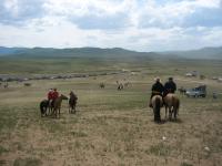 <img200*0:stuff/z/24454/Horses%2520by%2520Nyaah*/L1010193.JPG>