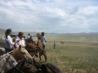 <img200*0:stuff/z/24454/Horses%2520by%2520Nyaah*/L1010210.JPG>