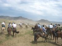 <img200*0:stuff/z/24454/Horses%2520by%2520Nyaah*/L1010212.JPG>